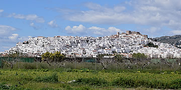 castillo de salobreña de granada