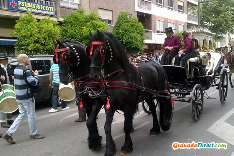 caballos rocio granada